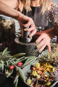 DDH-Zertifizierte Ausbildung zum Phytotherapeuten Grundkurs DDH-Zertifizierte Ausbildung zum Phytotherapeuten Grundkurs