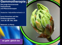 Ausbildungsseminar in Gemmotherapie - Eine Einführung in die Knospenmedizin.
