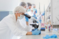 Ganzheitliche Labordiagnostik