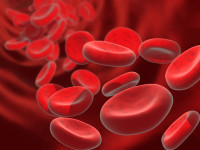 Eigenbluttherapie – früher und heute