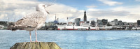 21. Norddeutscher Heilpraktiker Kongress in Hamburg